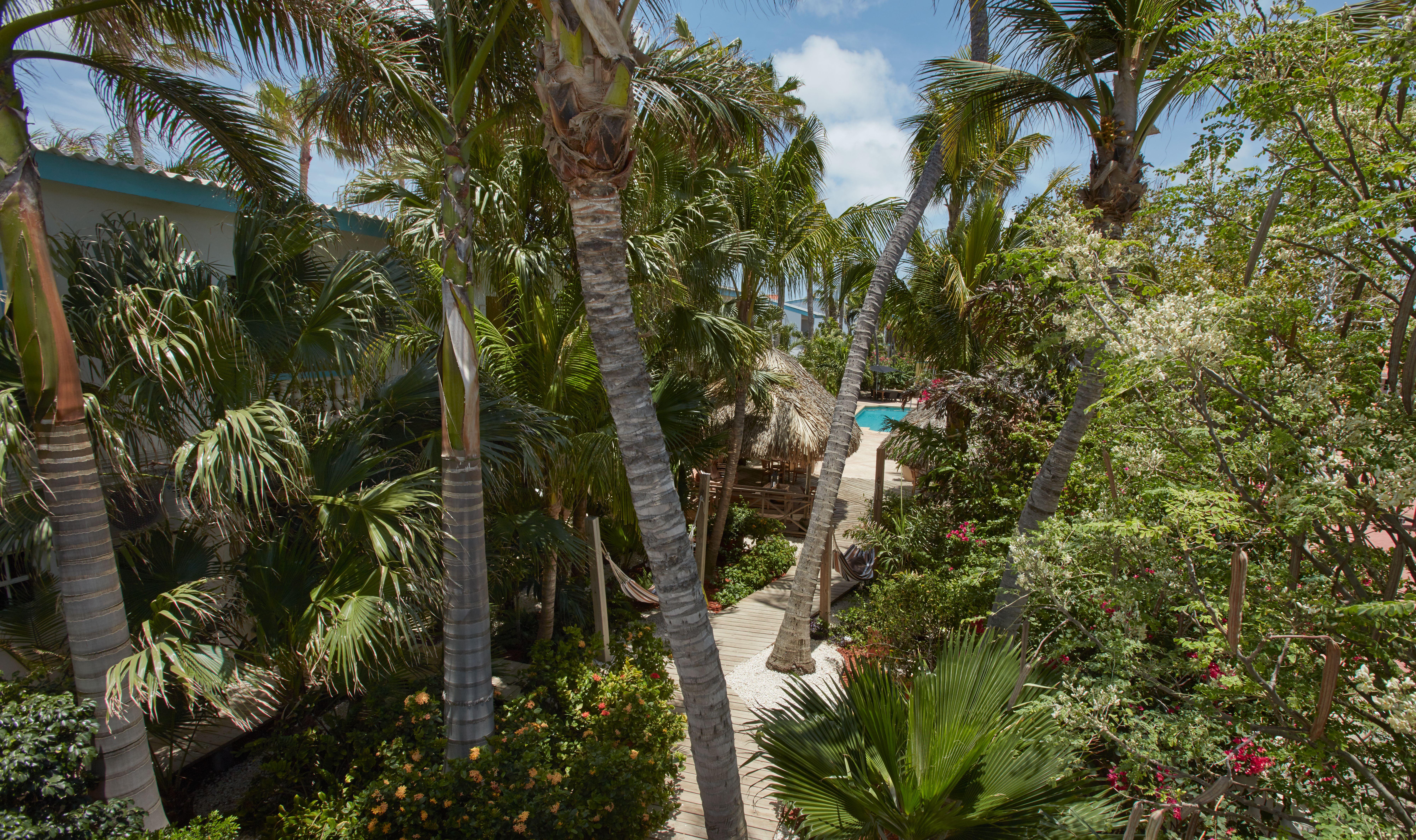 اورانجستاد Paradera Park Aruba المظهر الخارجي الصورة